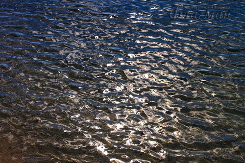 IMG_3576_r